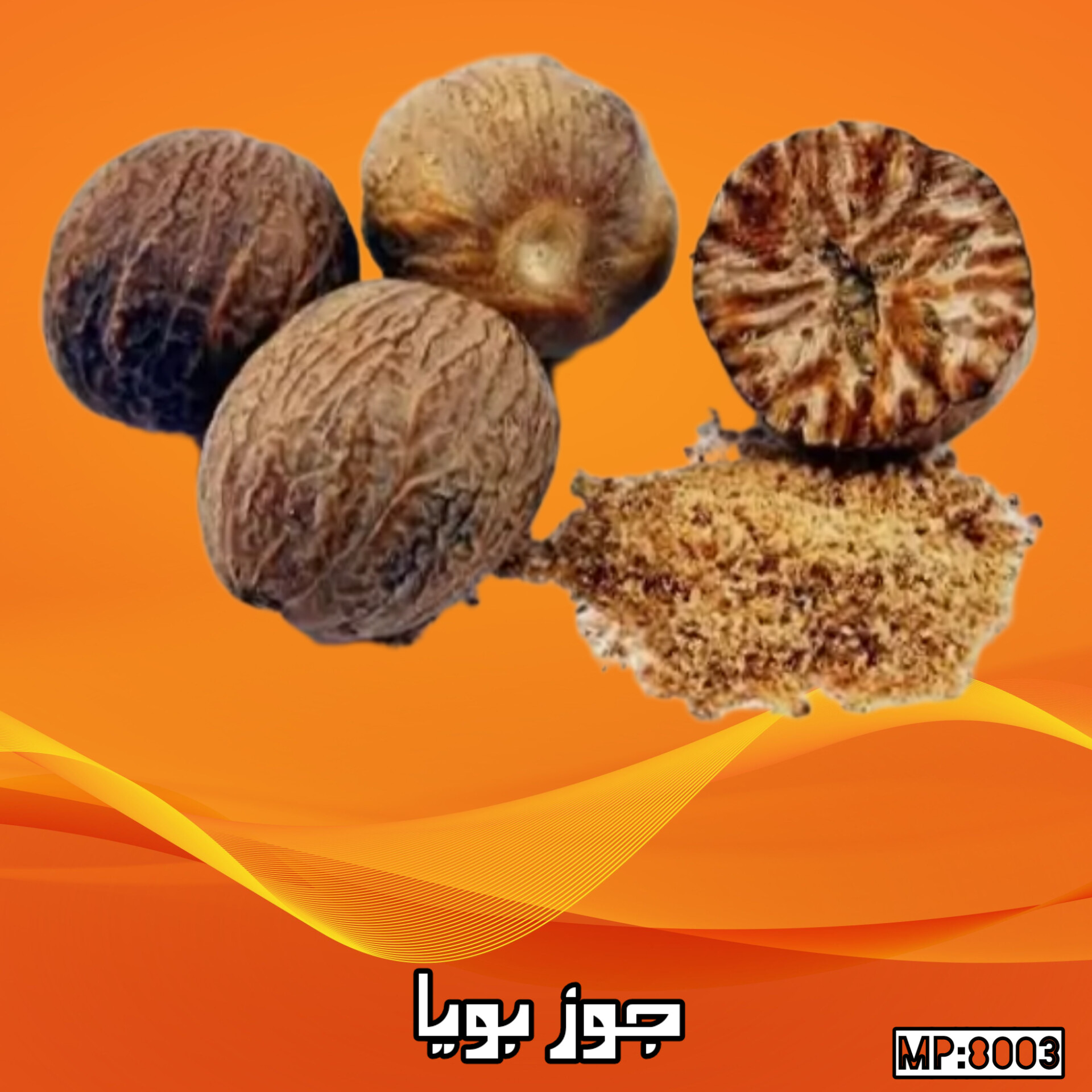 جوز بویا