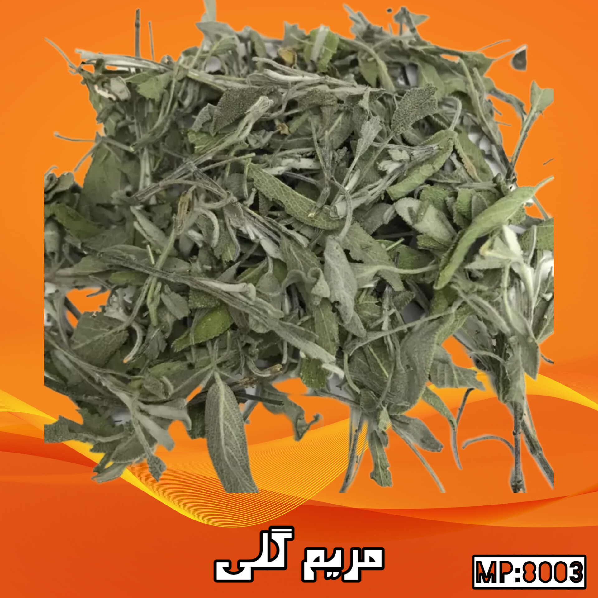 مریم گلی