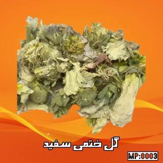 گل ختمی سفید